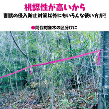 画像をギャラリービューアに読み込む, 来るなら濃いピンクテープ　1巻
